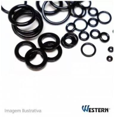 Kit de aneis oring 225 pÇs ref-na 225